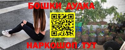 PSILOCYBIN Кизляр