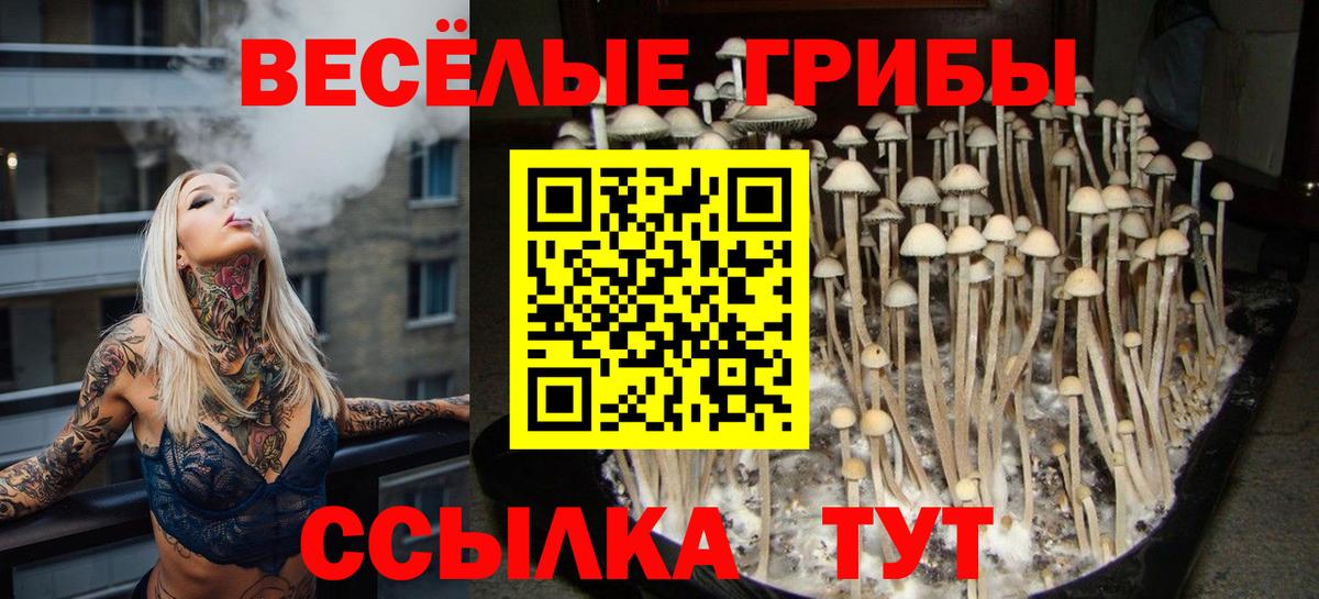 Воткинск  Галлюциногенные грибы ЛСД  Вход с VPN 